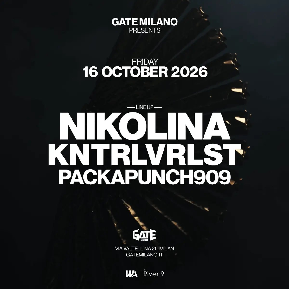 Locandina di Nikolina & KNTRLVRLST