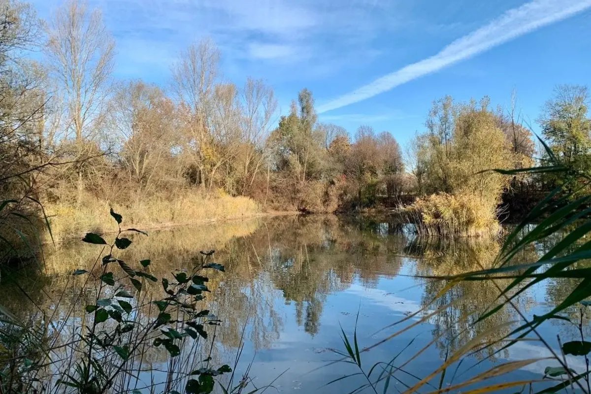 Locandina di Oasi Rossato
