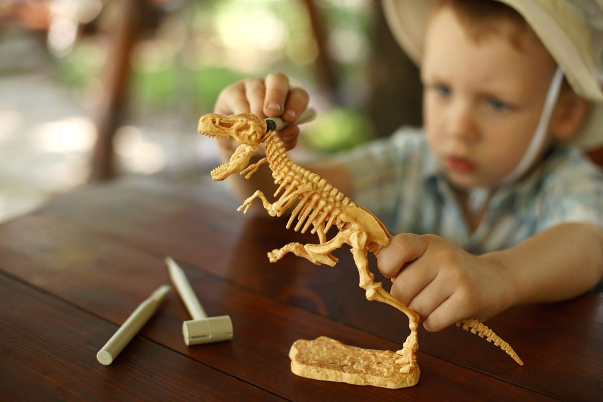 Locandina di Paleontologi in erba
