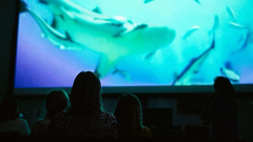 Locandina di Pianeta Mare Film Lab