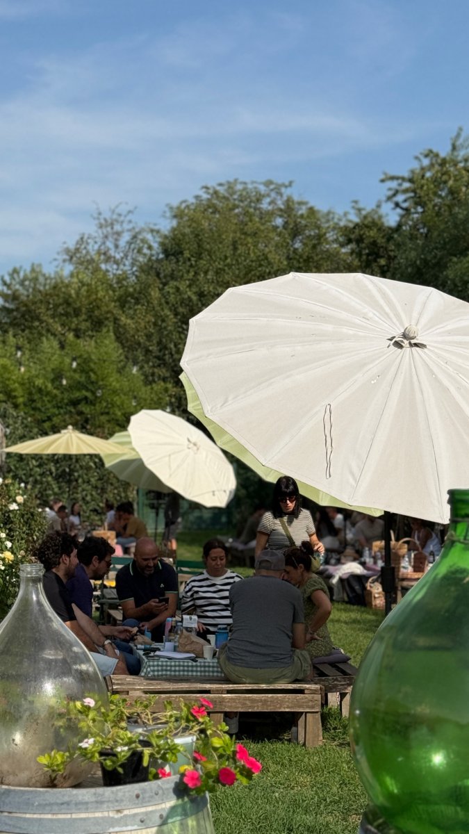 Locandina di Picnic campestri