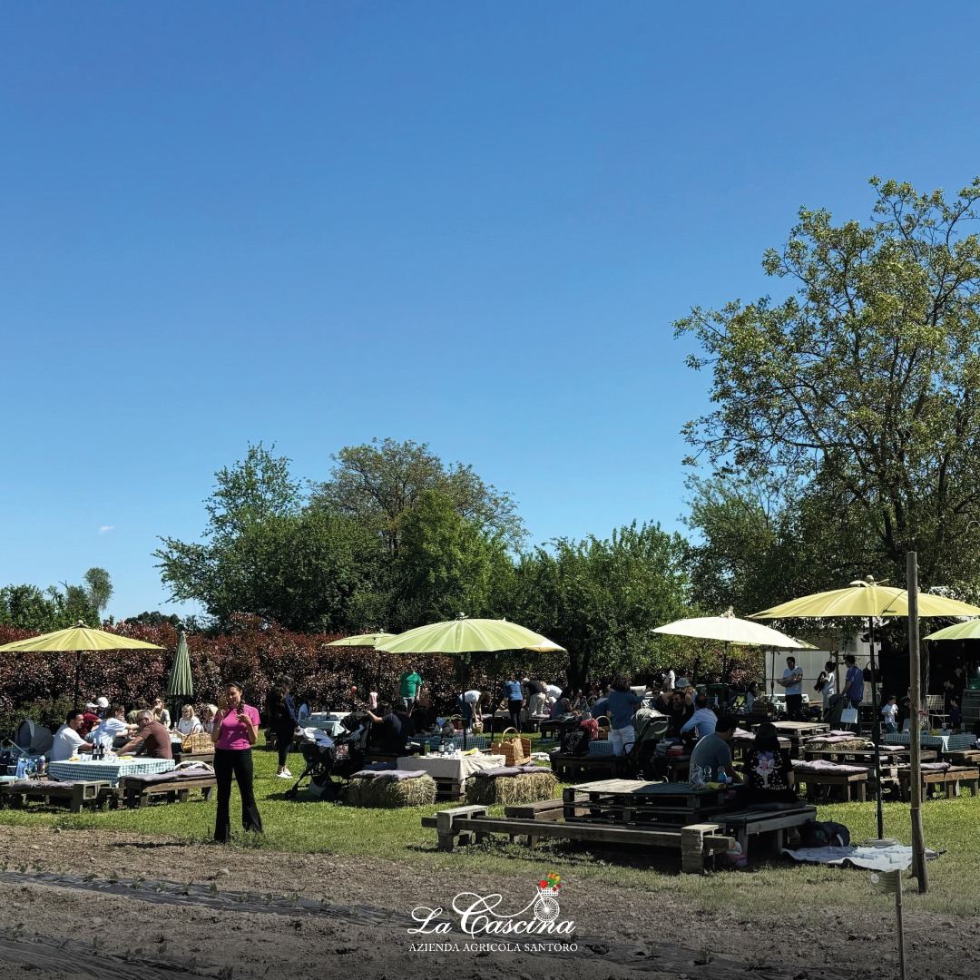 Locandina di Picnic campestri