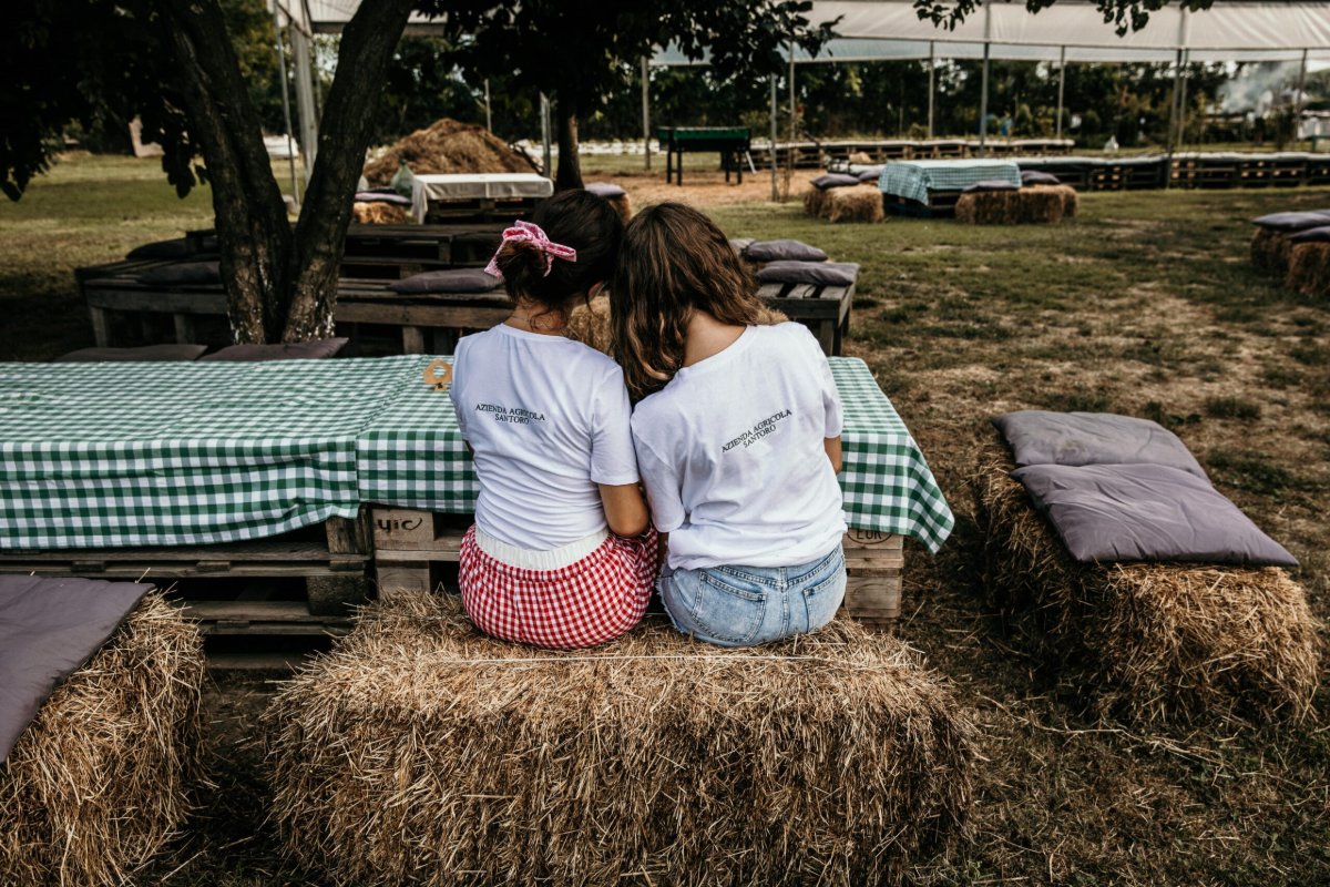 Locandina di Picnic campestri