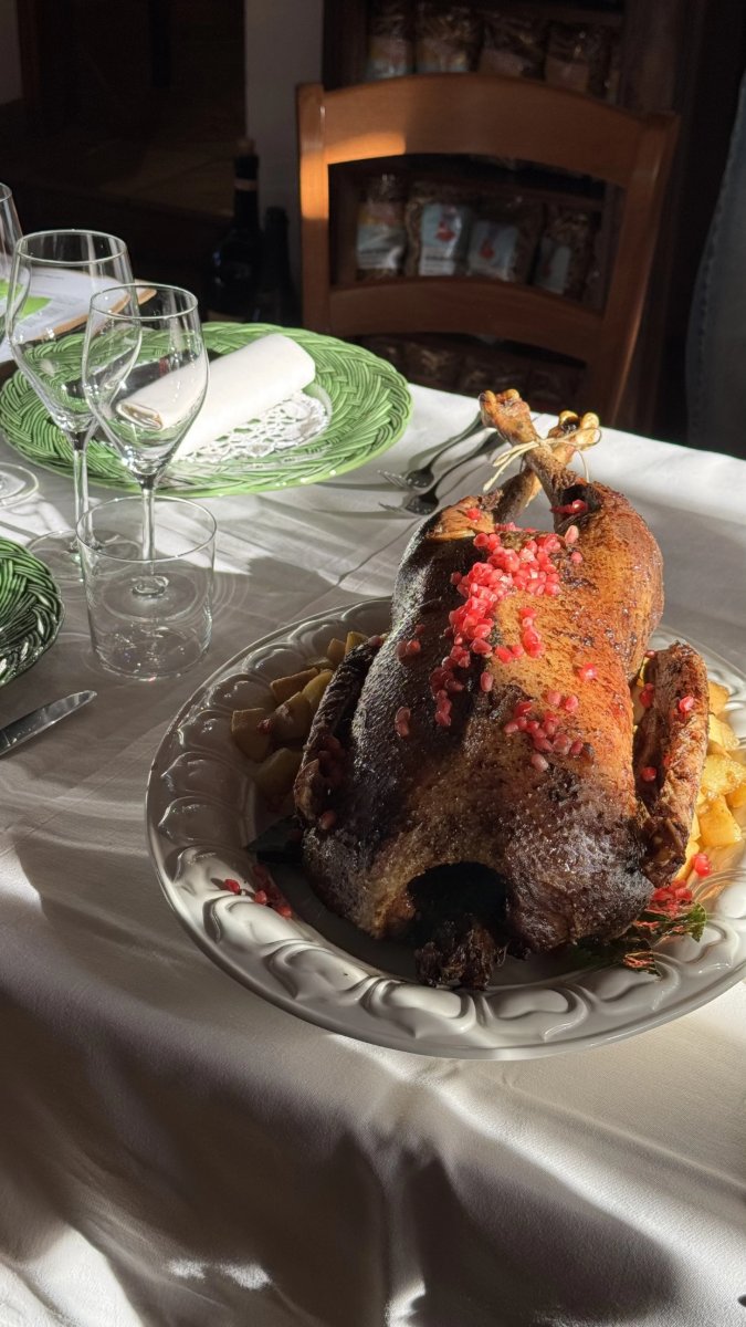 Locandina di Pranzo di San Martino: l'Oca 🪿