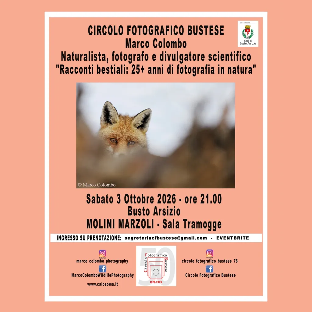 Locandina di Racconti bestiali: 25+ anni di fotografia in natura