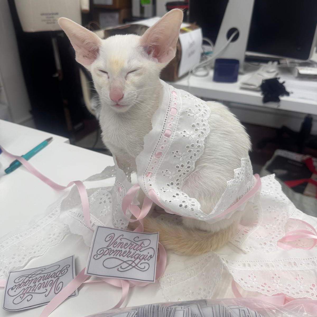 Locandina di Re-Wear/Re-Imagine: Venerdì Pomeriggio X Thread