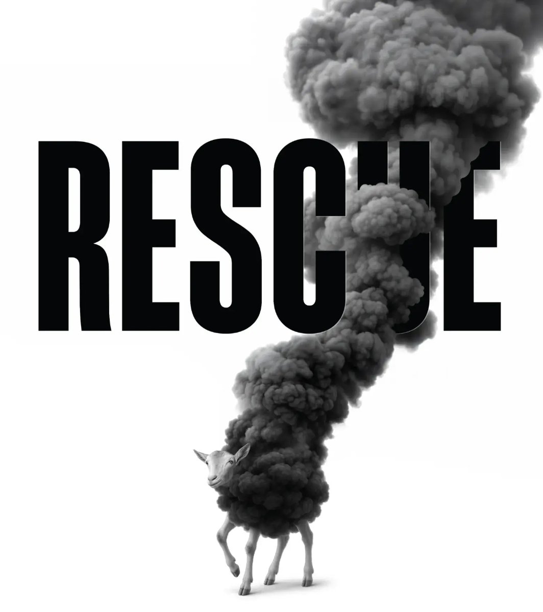 Locandina di Rescue