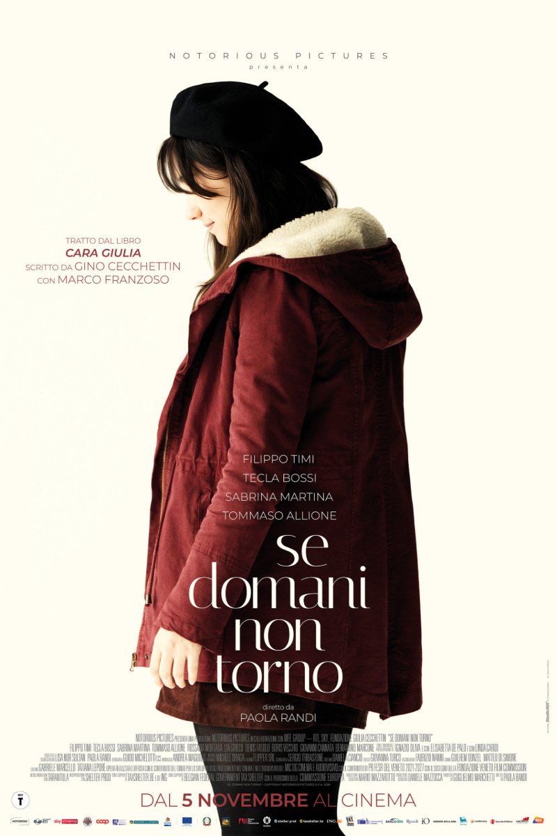 Locandina di Se domani non torno