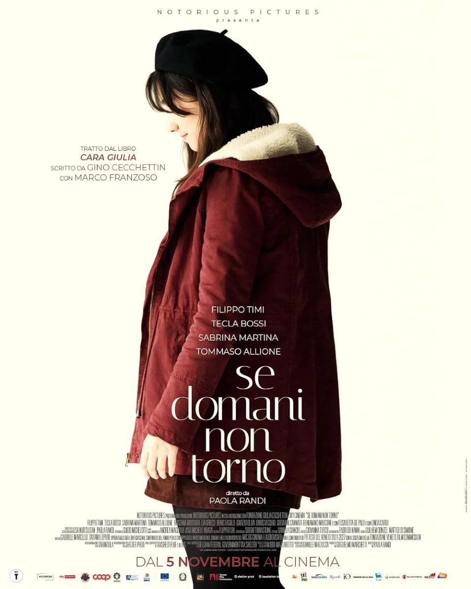 Locandina di Se domani non torno