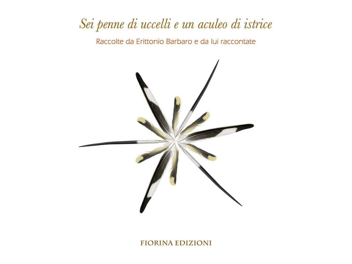 Locandina di Sei penne di uccelli e un aculeo di istrice