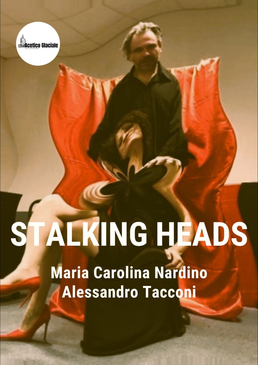 Locandina di Stalking Heads