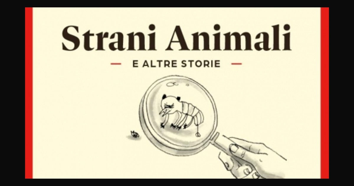 Locandina di Strani animali e altre storie