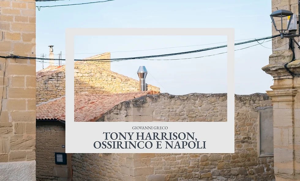 Locandina di Tony Harrison, Ossirinco E Napoli