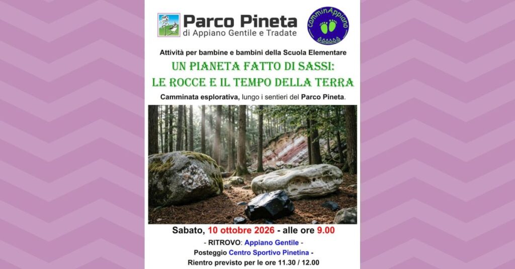 Locandina di Un pianeta fatto di sassi