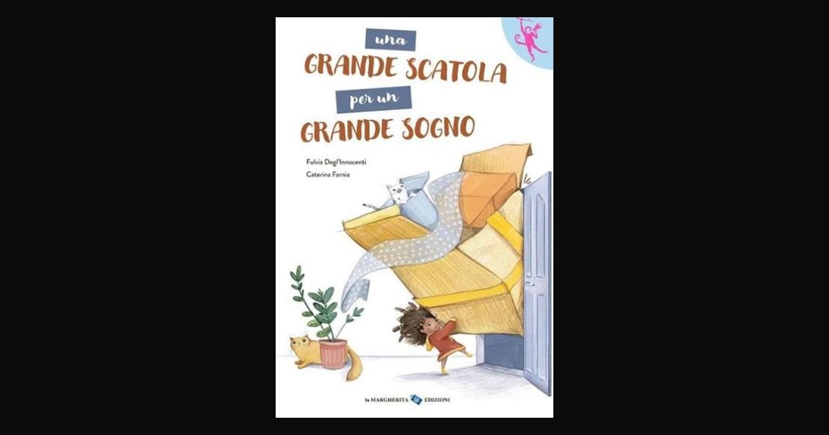 Locandina di Una grande scatola per un grande sogno