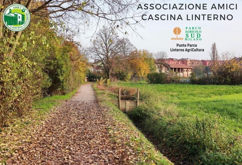 Locandina di Visita al Parco delle Cave – Foliage e Area Umida