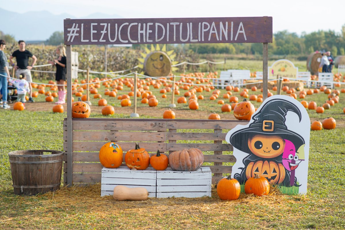 Locandina di Zucche 2026 a Tulipania